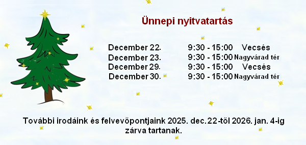Karácsonyi akciós jogosítvány árak - GyorsJogsi Autósiskola